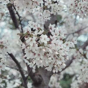 Meet your Posher, Naomi